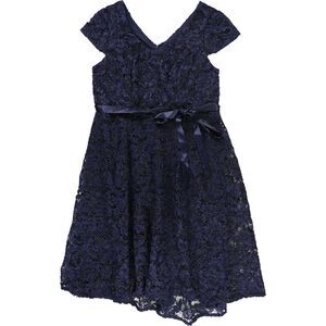 Alex Evenings Womens Plus Size Lace Midi Fit & Flare Cocktail Dress, NWT
